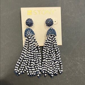 Blue and White Beaded Tassel Earrings
